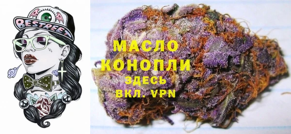 молекула духа Верхний Тагил